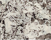Patagonia White